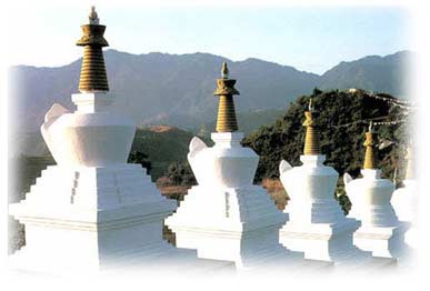 tchorten