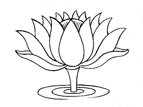 1lotus02