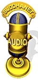 medaudio1